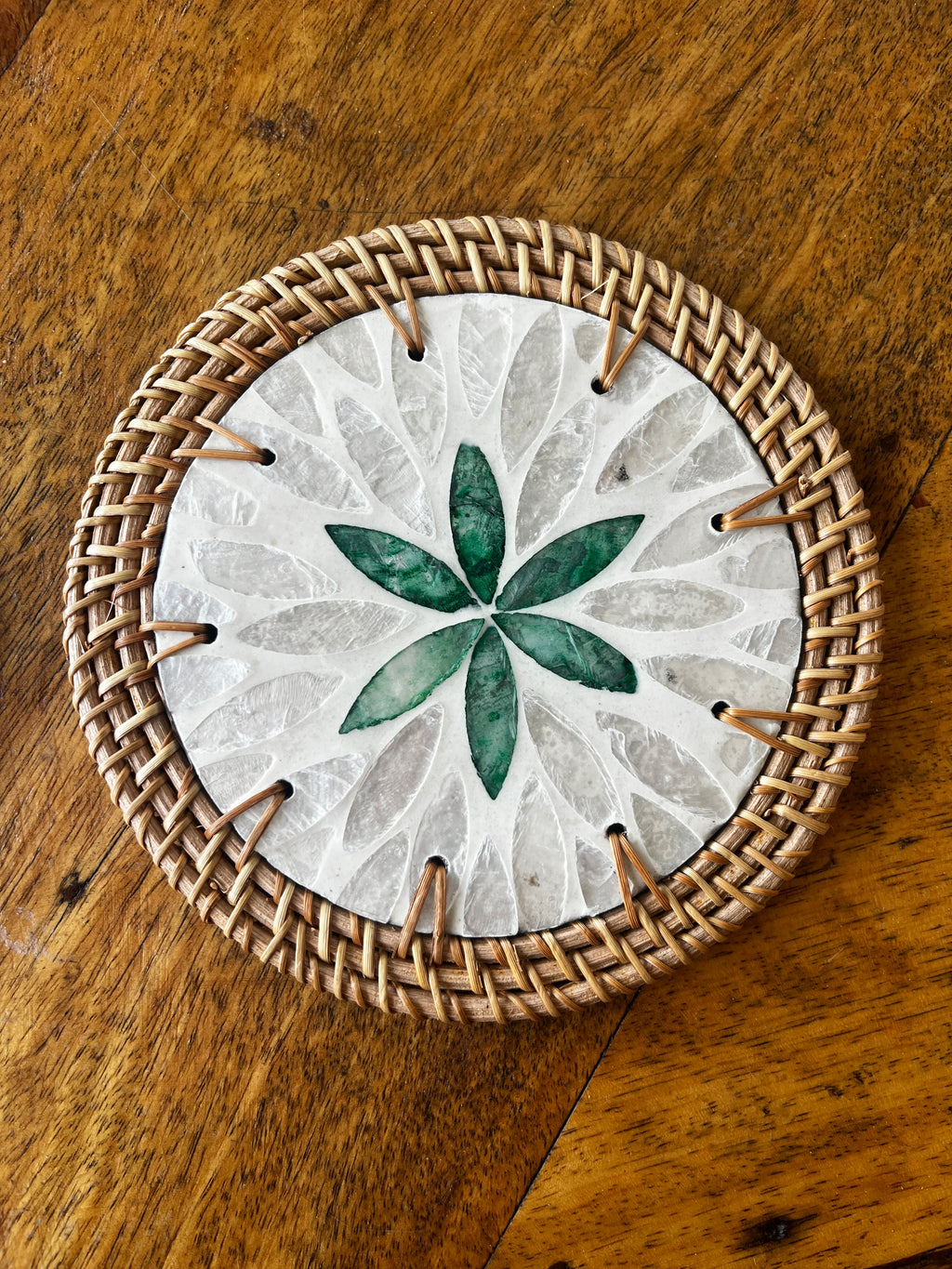 Sea shell coasters
